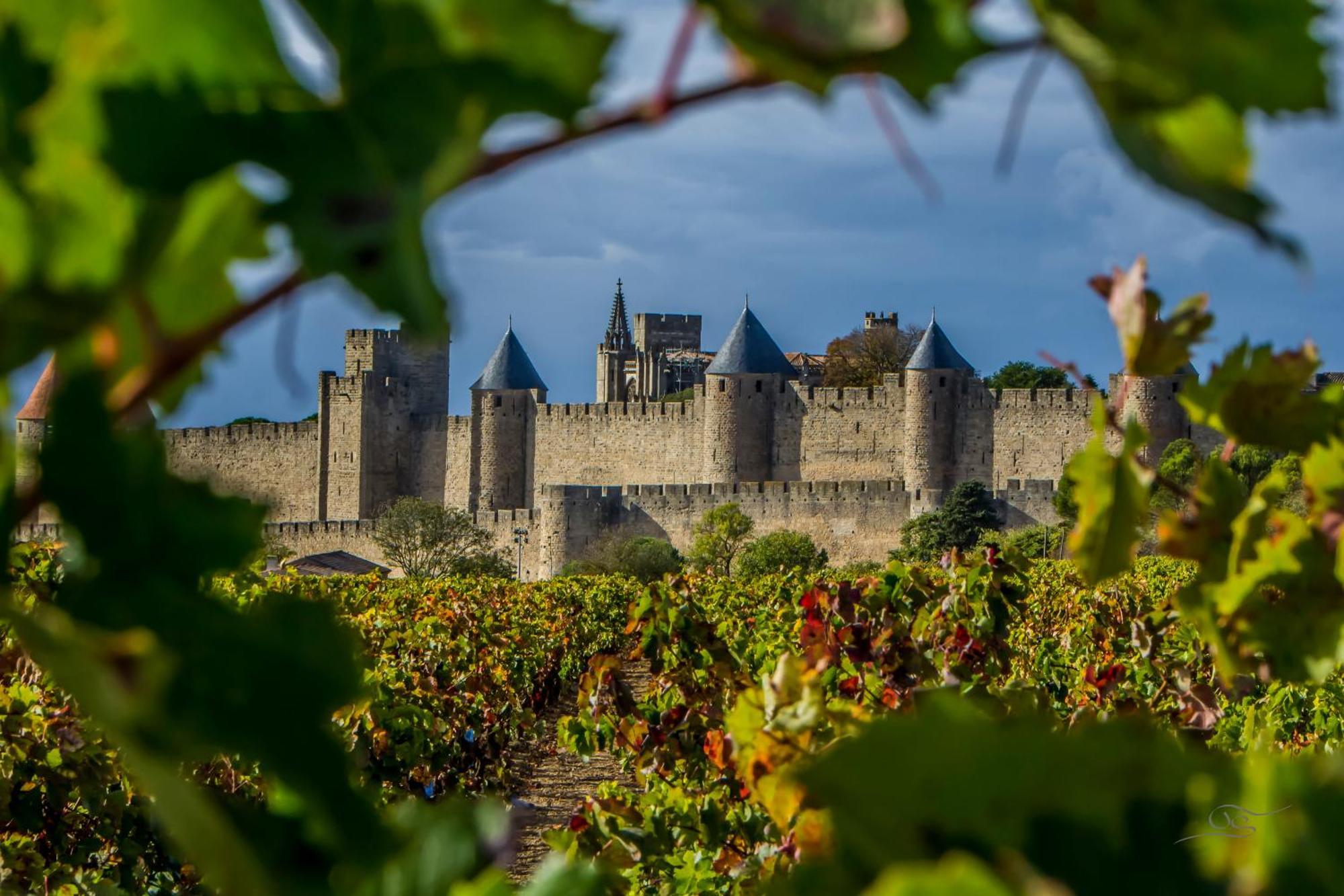 Maison Cantalauze - Pays Cathare - Carcassonne - Canal Du Midi Trèbes Eksteriør bilde